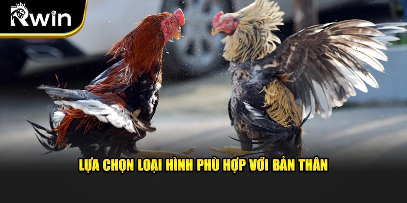 Lựa chọn cược thích hợp với chiến thuật