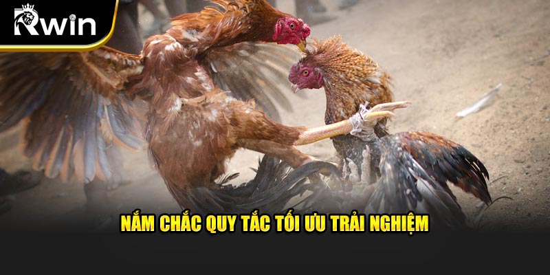 Nắm chắc quy tắc tối ưu trải nghiệm