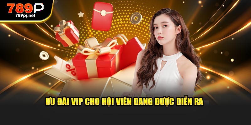 Ưu đãi VIP cho hội viên đang được diễn ra 