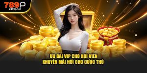 Ưu đãi vip cho hội viên khuyến mãi hỏi cho cược thủ