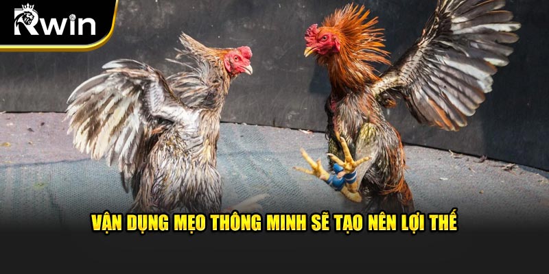 Vận dụng mẹo tối ưu sẽ tạo nên lợi thế